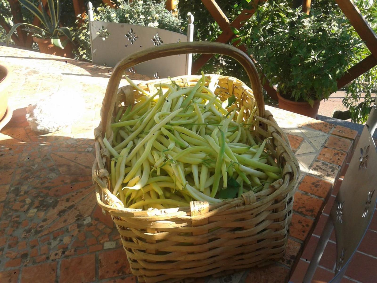 Agriturismo Caruggiu Di Via Vecchia Orco Feglino Extérieur photo